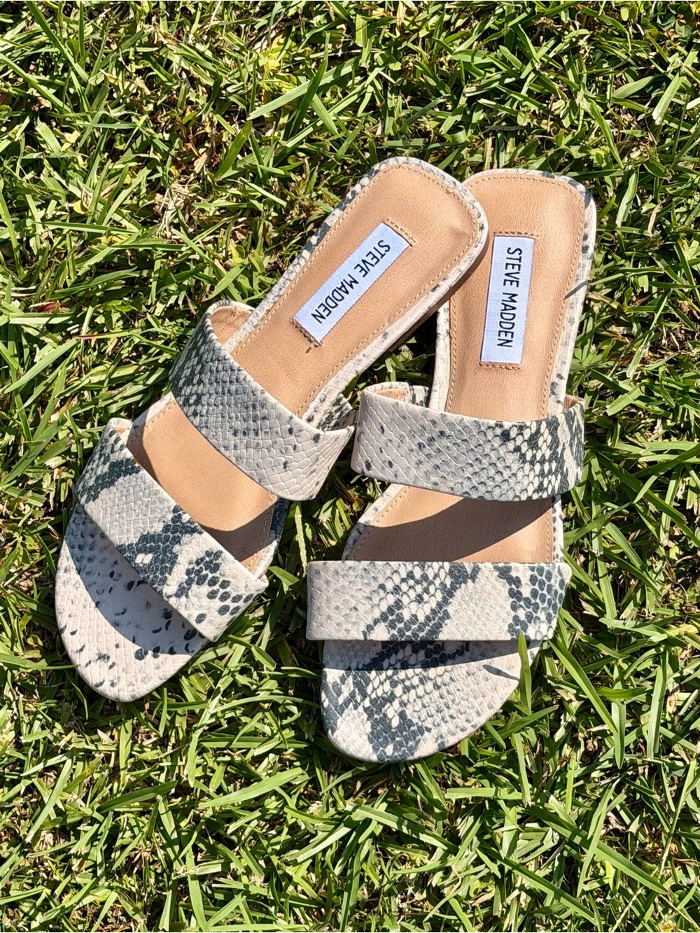 Steve Madden Ladies Flat Sandal size 7